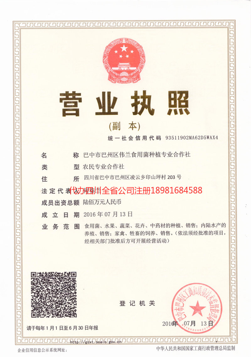 岑溪岑溪伟兰食用菌种植专业合作社